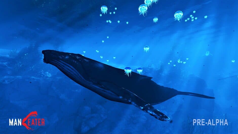 Maneater screenshot 11
