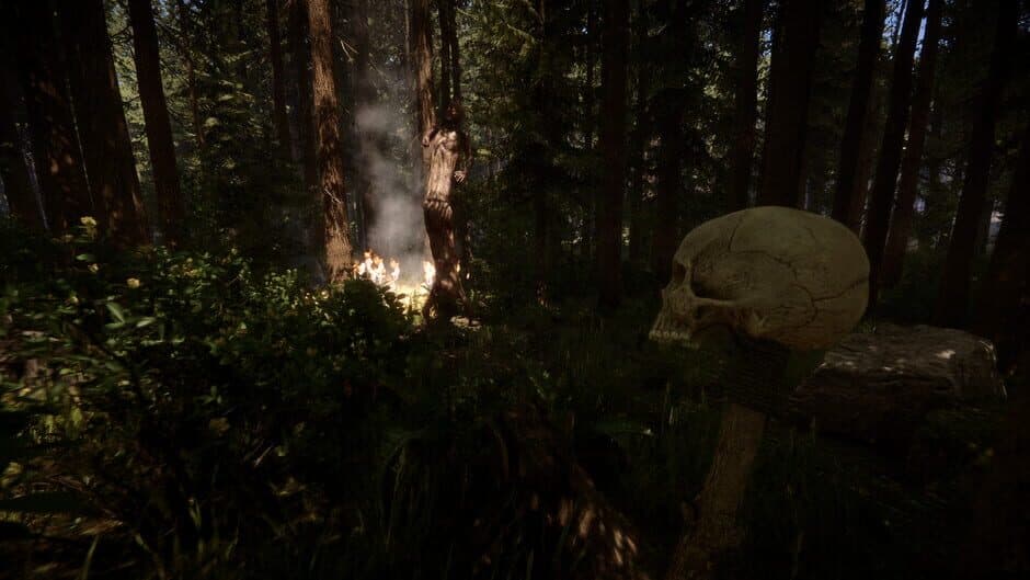 Sons Of The Forest screenshot 7