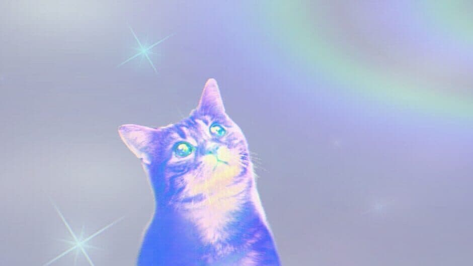PUSS! screenshot 18